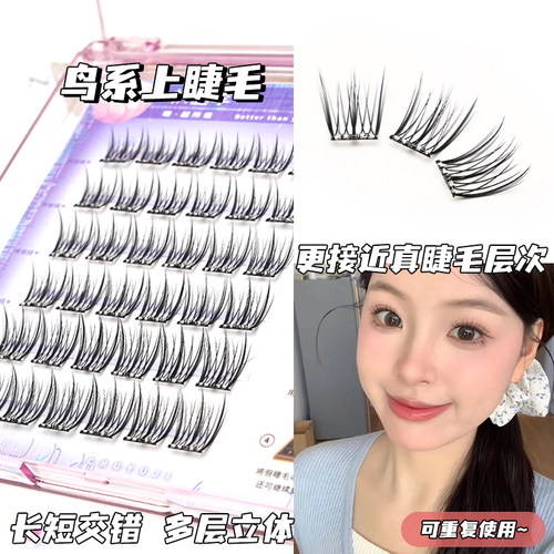 初遇季免胶鸟啾啾上镜鸟系假睫毛