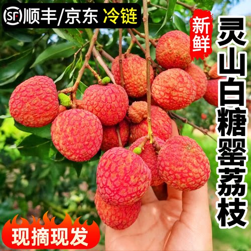 【白糖罂荔枝】纯甜顺丰包邮