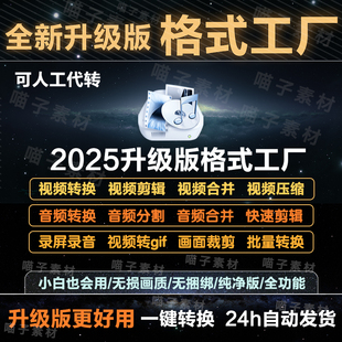 工厂视频音频格式 wmv 转换器avi mkv ts转mp4合并mp3软件 mov 格式