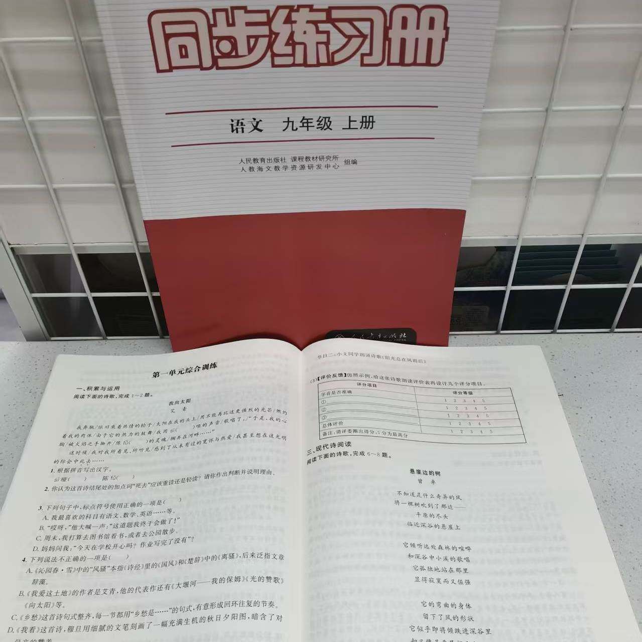 X 包邮2026年秋新版江苏版 九年级上册语文同步练习册配人教版初中九上语文课本教材教科书配套练习人民教育出版社