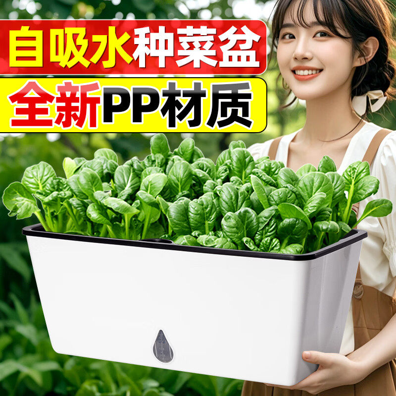 家庭阳台自吸水种菜盆种菜神器懒人长条蔬菜种植专用箱窗台蓝莓