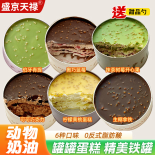 蛋糕铁罐子慕斯甜品小蛋糕巧克力奥巧蓝莓抹茶罐罐装盒子网红礼物