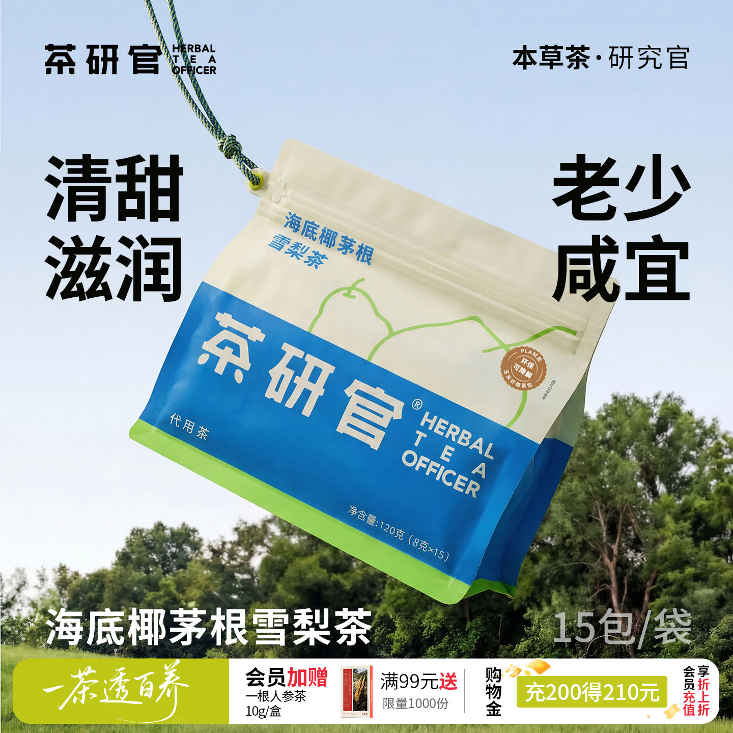 海底椰竹蔗茅根马蹄水广式小甜水图片