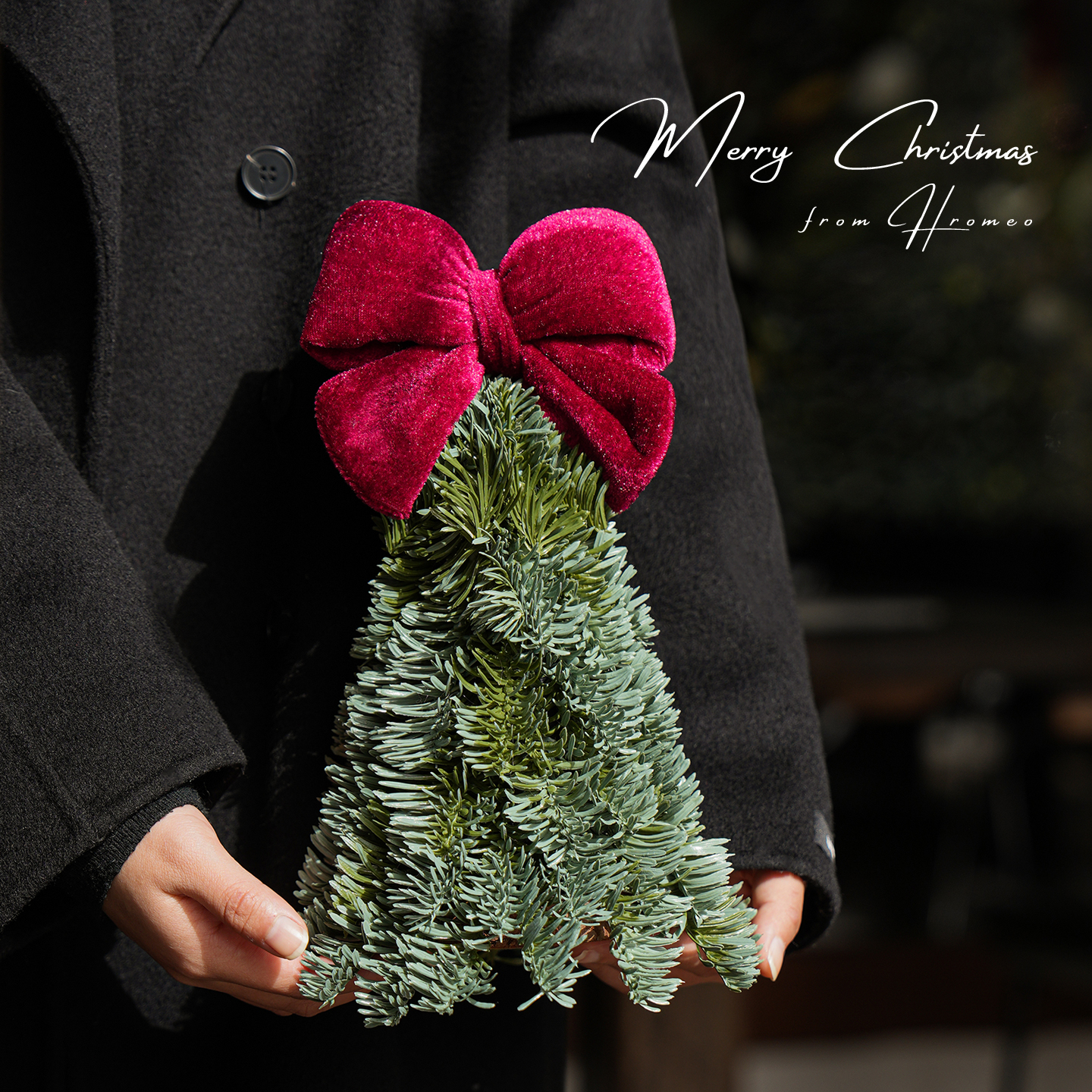 【蝴蝶结诺贝松】桌面小树