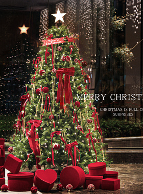 圣诞树2025新款纯pe高级感红色圣诞节装饰家用客厅耶诞christmas