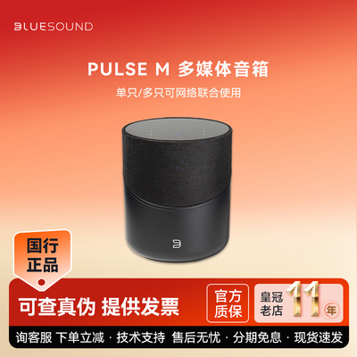 BLUESOUND（家电） PULSE M蓝牙无线音响