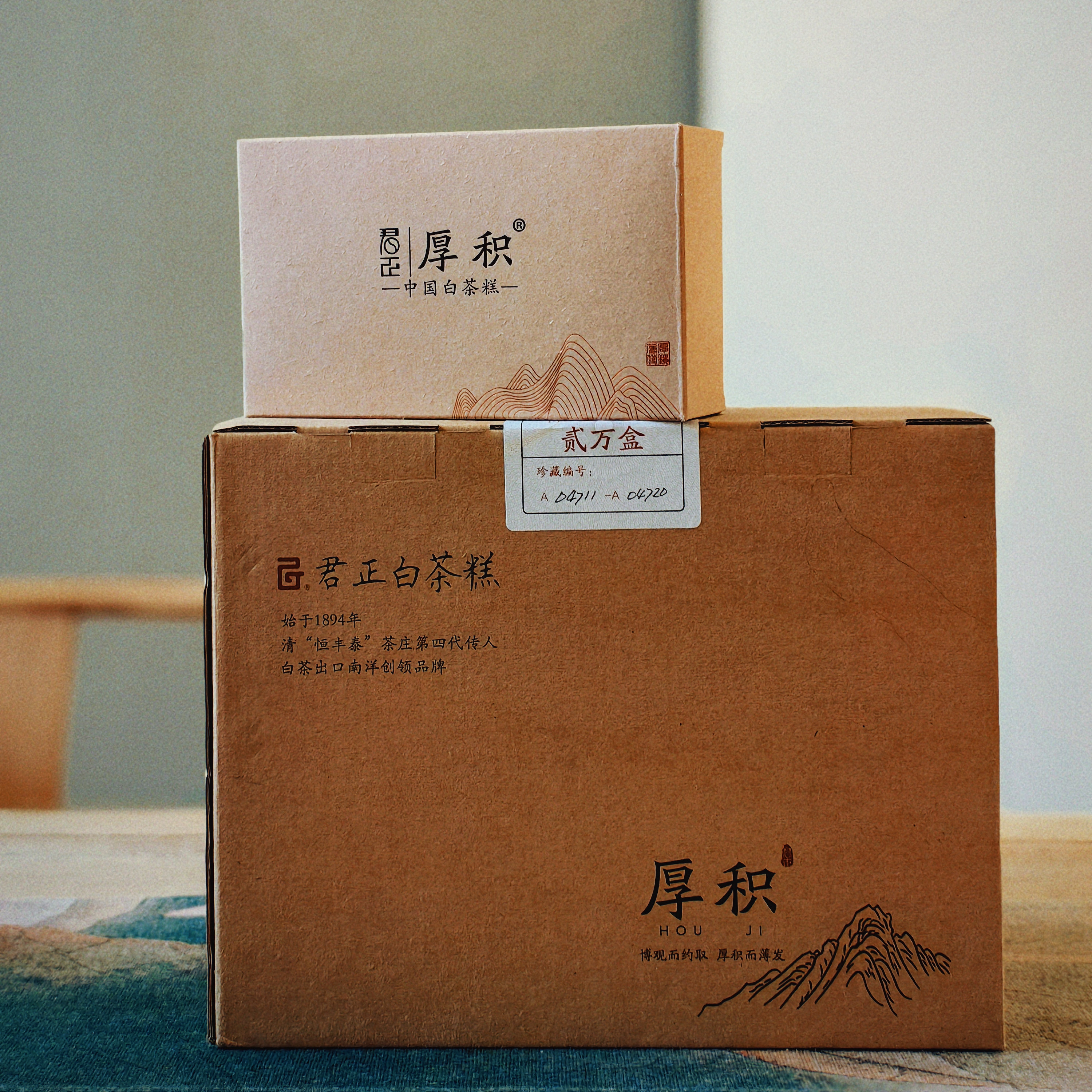 福鼎白茶 君正 厚积白茶糕 白牡丹 松压茶糕246克 2022年珍藏款