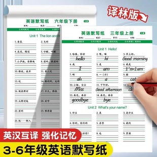 江苏课本同步单词英汉互译练习纸 6年级苏教版 译林版 英语默写本3