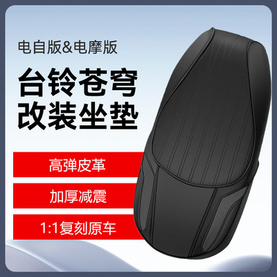 台铃苍穹电自电摩版改装一体座