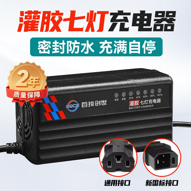 电动车充电器爱玛雅迪台铃小刀新日电瓶车通用48v60v72v12ah20ah