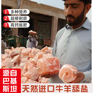 牛马羊舔盐巴基斯坦进口喜马拉雅天然矿物质玫瑰盐盐砖饲料畜牧盐