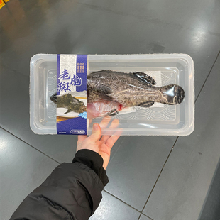 MM超市代购新鲜海鲜水产老虎斑600g/条石斑鱼珍珠斑老虎斑芝麻斑