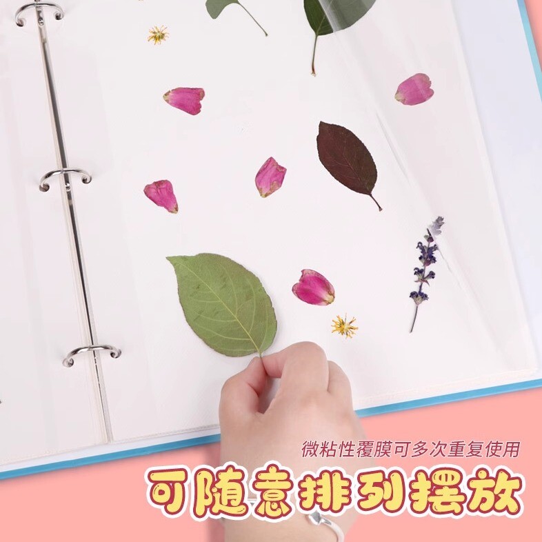 植物标本收集册干花册压花树叶收纳册diy自粘贴式覆膜相册活页装