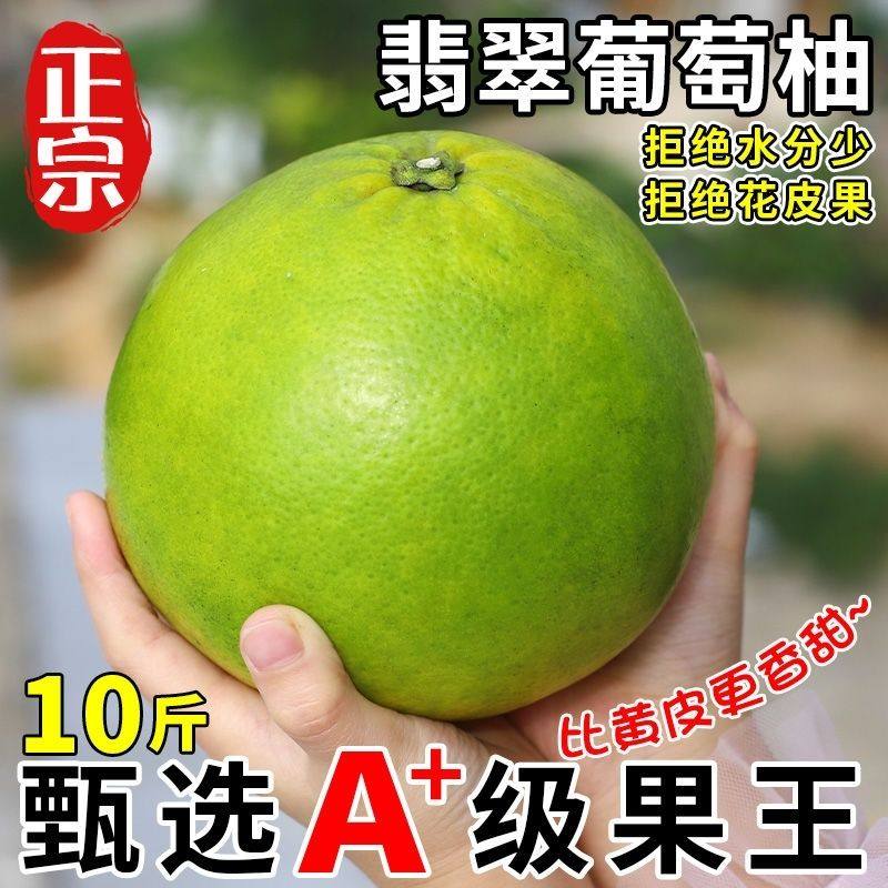 福建漳州葡萄柚新鲜水果西柚翡翠青媛青皮精品礼盒5斤10斤+榨汁杯