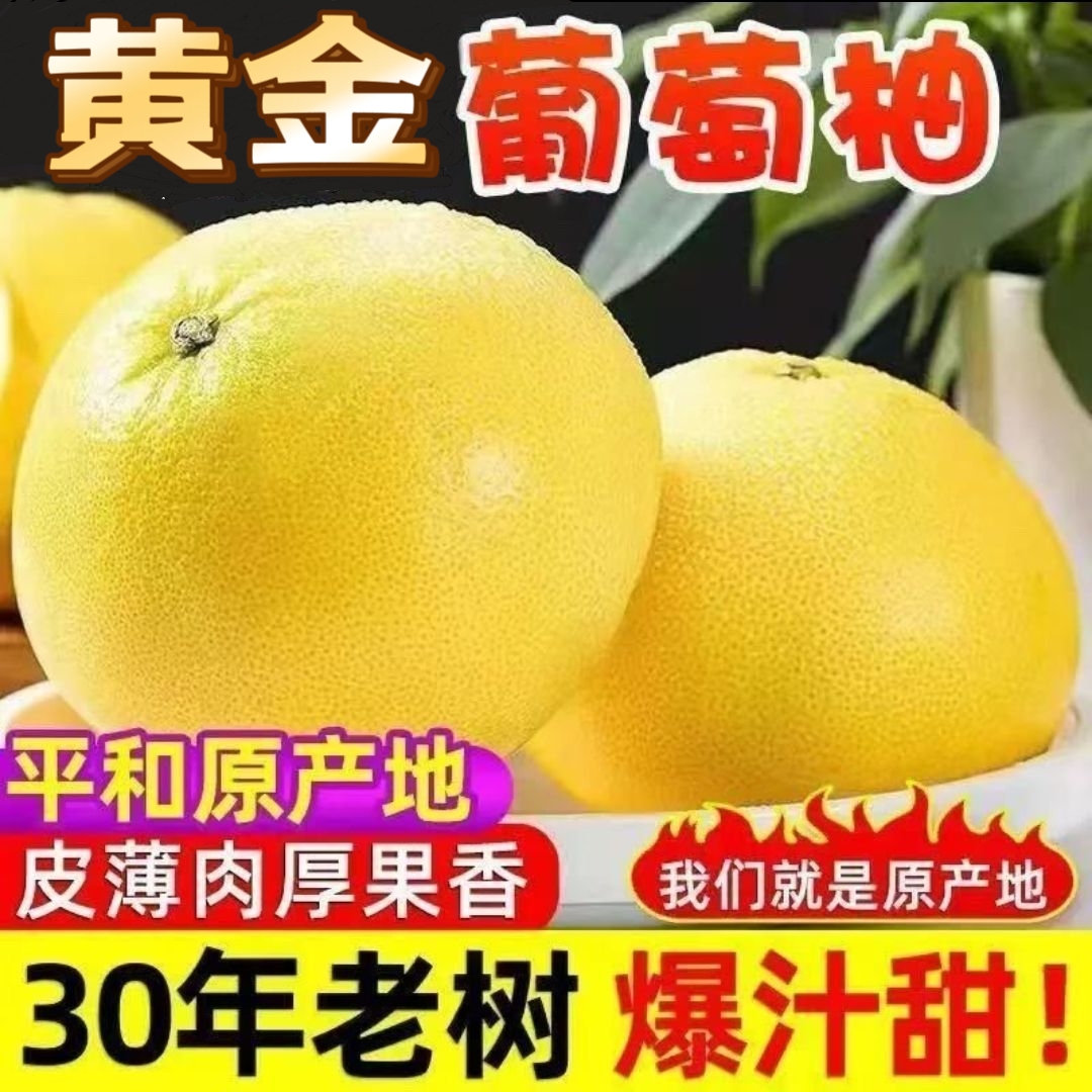 福建漳州葡萄柚新鲜水果黄金西柚多汁清甜精品礼盒5斤10斤+榨汁杯