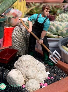 迷你仿真小人偶摆件农夫农场主玩偶摆件多肉植物造景摆件