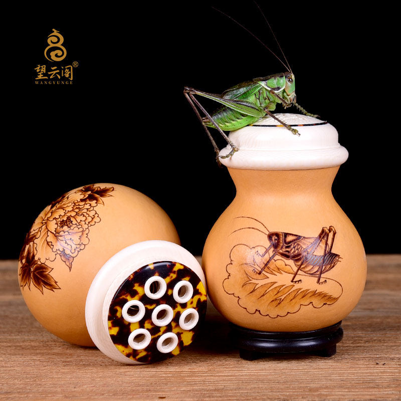 蝈蝈葫芦天然手工烙画仿象牙镶口叫罐虫具竹蛉筒鸣虫笼子蛐蛐文玩