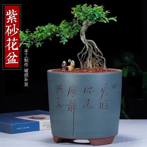 紫砂花盆君子兰兰花多肉文竹发财树植客厅精品透气陶瓷盆景盆包邮