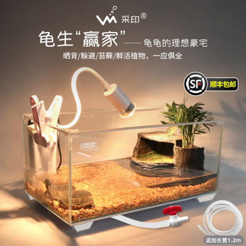 桌面龟缸玻璃水陆缸易打理乌龟缸