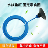 鱼缸喂食圈防飘散热带孔雀鱼投食圈水族鱼食鱼粮喂食器饲养投喂器