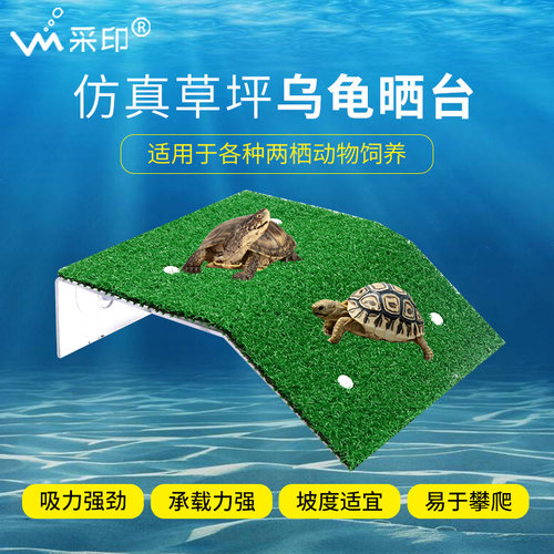空间大缓坡防滑方便龟龟攀爬