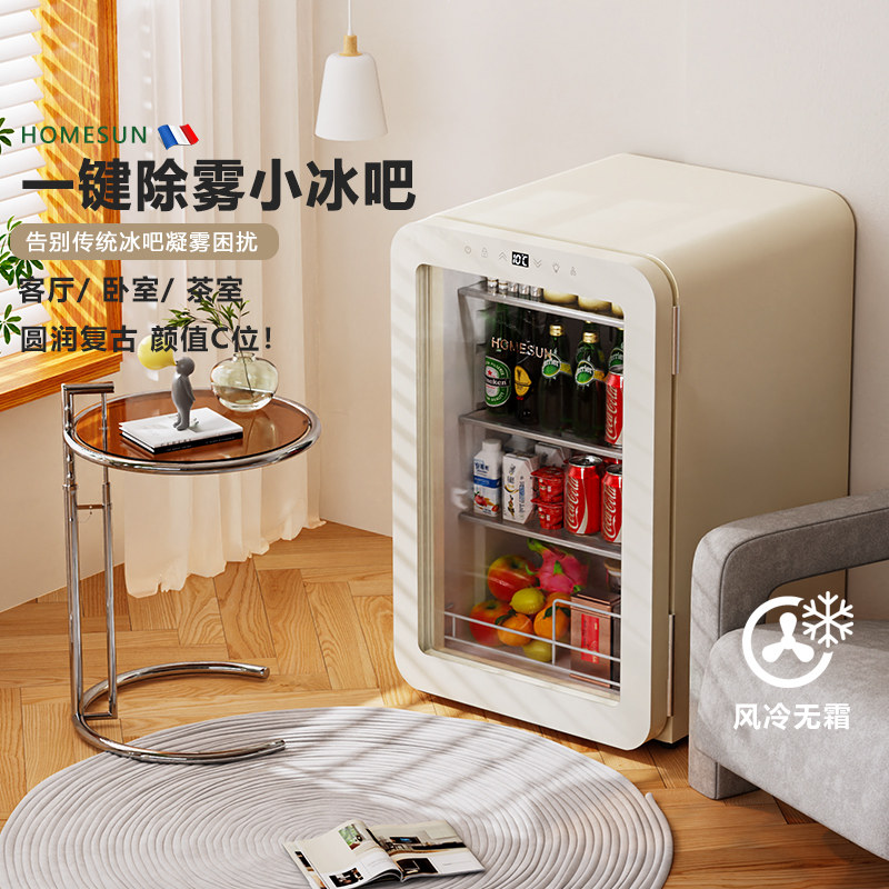 法国HOMESUN小型迷你冰吧家用办公室客厅高颜值饮料护肤品小冰