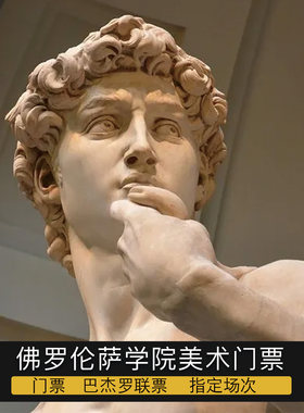 意大利佛罗伦萨 大卫雕像 学院美术馆 门票预约 指定时间快速入场