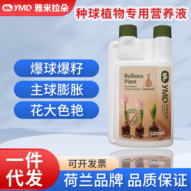 种球植物专用营养液朱顶红郁金香图片