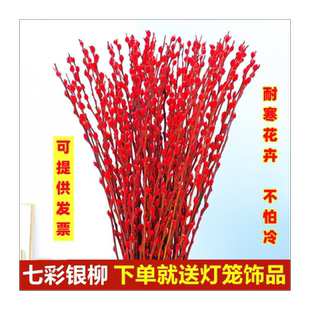 红色真花银柳鲜枝室内摆件年宵花花卉摆设春节喜庆水培植物发财果