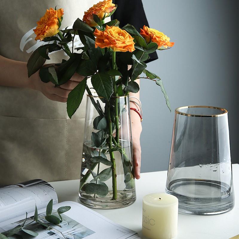 花瓶玻璃透明摆件客厅 插花水养轻奢高级感网红小鲜花瓶ins风 家居饰品 花瓶 原图主图