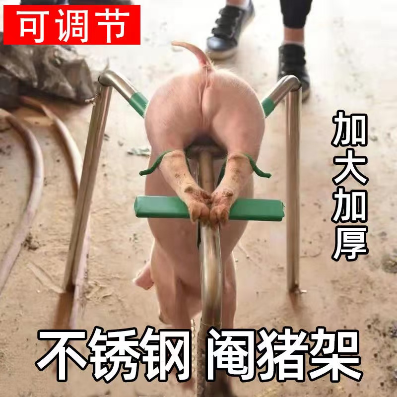 阉割架小猪阉割器不锈钢仔猪用