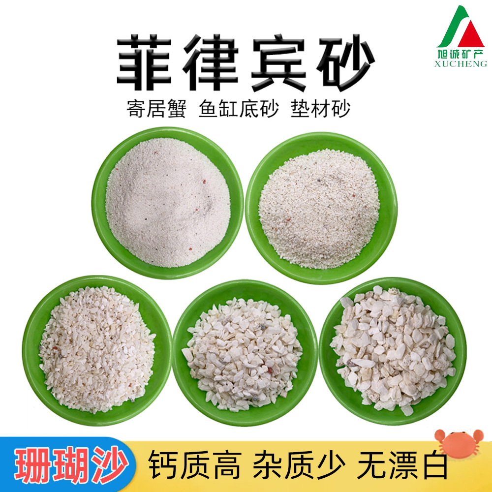 菲律宾砂三湖慈鲷鱼缸底砂寄居蟹图片