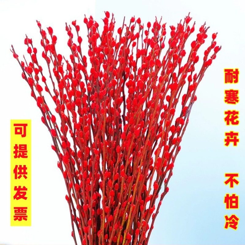 红色真花银柳鲜枝室内摆件年宵花花卉摆设春节喜庆水培植物发财果,鲜花速递/花卉仿真/绿植园艺,花材,淘宝优惠券,粉丝福利购,淘宝优惠卷
