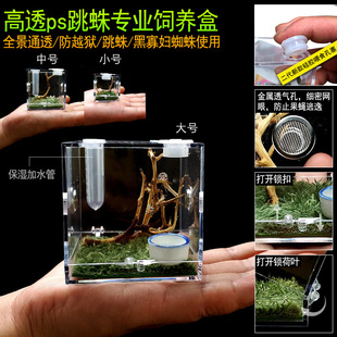 跳蛛饲养盒 小型非捕造景箱 佛罗里达跳蛛昆虫带加湿器投食口