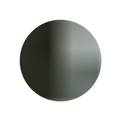 大型楠竹苗巨龙竹竹苗食用竹笋苗