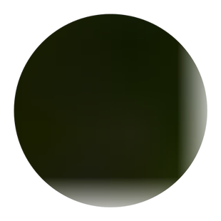 扶桑花苗四季重瓣盆栽红色朱瑾牡丹草花卉植物室内阳台开花绿植物