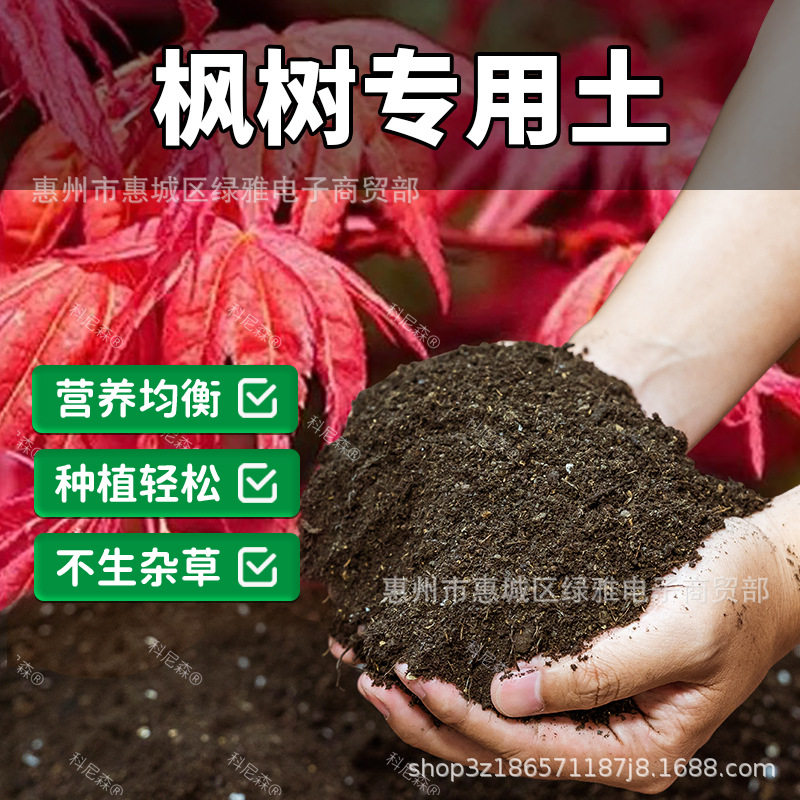 【枫树专用土】养花营养土绿植图片