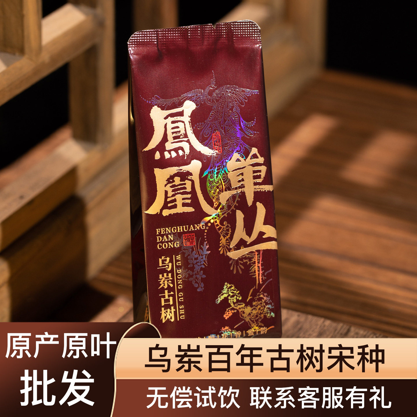 头春百年树龄乌岽宋种
