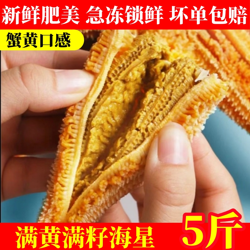 海星鮮活冷凍派大星新鮮熟凍速凍海星滿籽海鮮野生食用五角星5斤