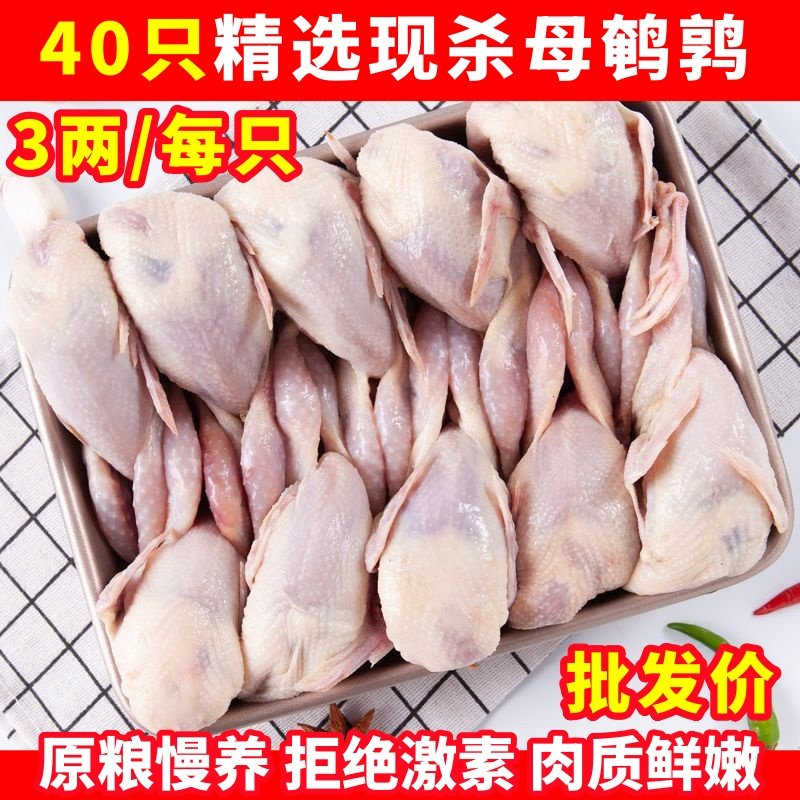 新鲜大母鹌鹑肉冷冻鹌鹑