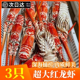 红龙虾鲜活冷冻超大新鲜海捕角脊花龙虾海鲜水产非波斯顿澳洲龙虾