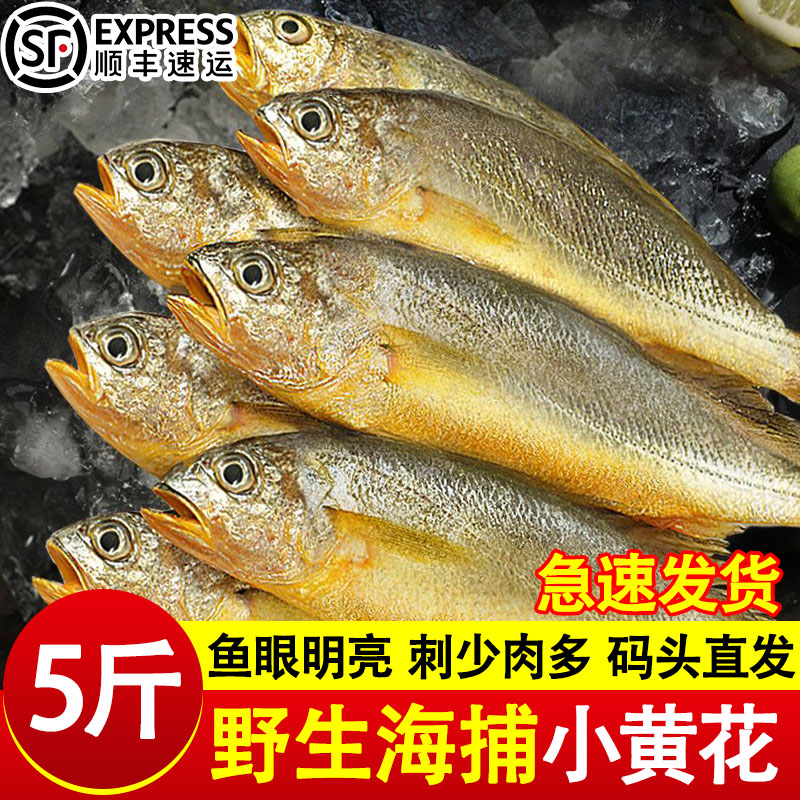 小黄花鱼新鲜冷冻5斤烧烤大黄鱼青岛生鲜活海鱼海鲜整箱商用批发