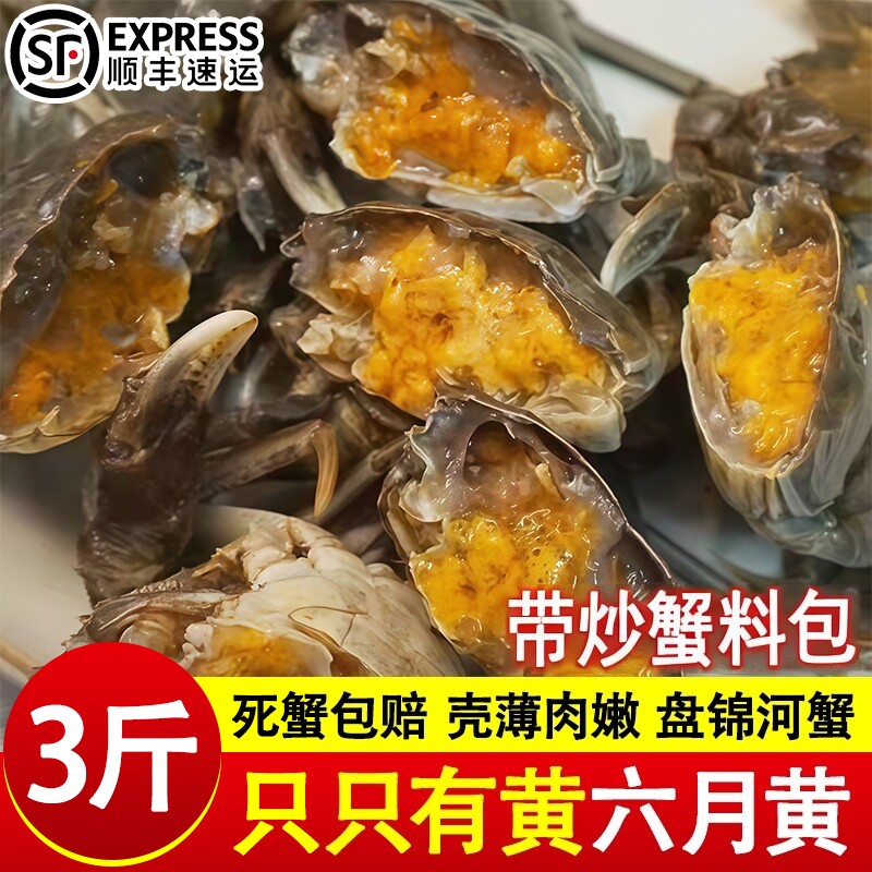 六月黄盘锦河蟹小闸蟹稻田蟹小螃蟹公母蟹鲜活大闸蟹活蟹商用批发