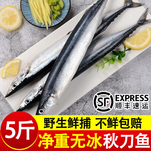 秋刀鱼新鲜冷冻特大号日式料理烧烤海鱼食材海鲜水产商用批发