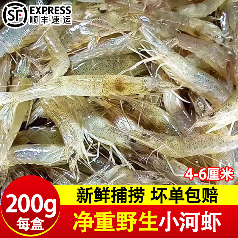 小河虾鲜活速冻淡水活虾冷冻小白虾草虾明虾青虾虾米醉虾水产顺丰