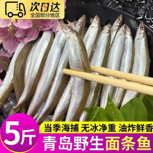 新鲜面条鱼鲜活冷冻海鱼海鲜沙丁鱼小银鱼小青鱼玉筋鱼泥鳅鱼