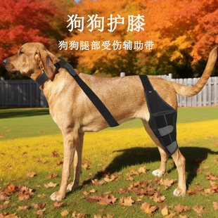 宠物狗狗护膝术后瘫痪康复后腿辅助带关节保护套髌骨脱位固定器