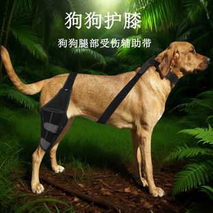 宠物狗狗护膝术后康复训练支撑带金毛髌骨脱位骨折固定器护膝支架
