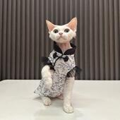 任发财纯棉超薄碎花旗袍无毛猫衣服德文衣服斯芬克斯猫可爱