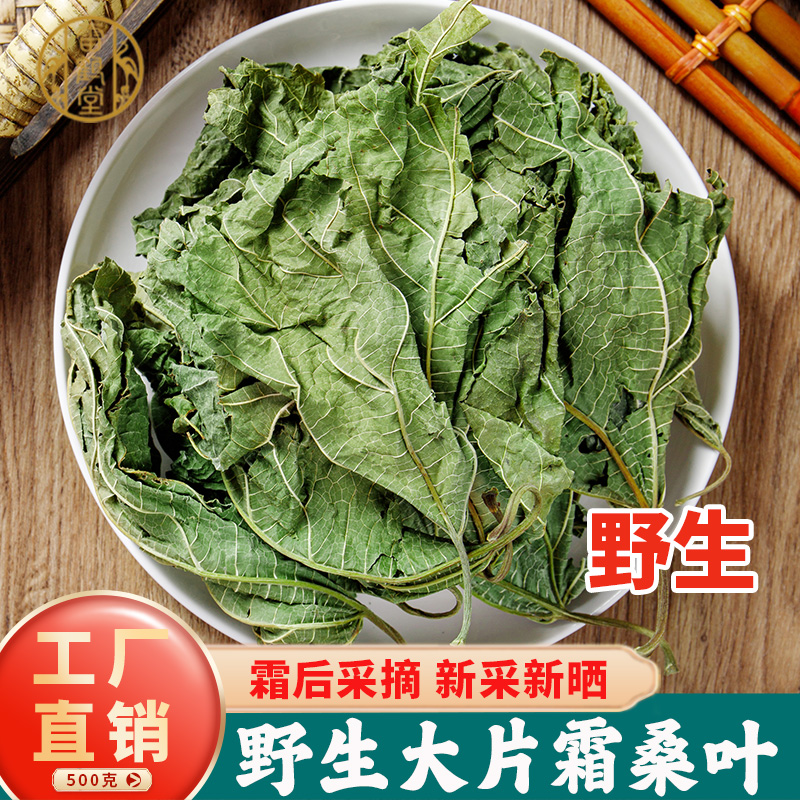 桑叶中药材500g250/100克正品野生官方旗舰店霜后桑叶干泡水新鲜